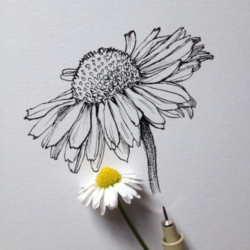 black ink drawings 9
