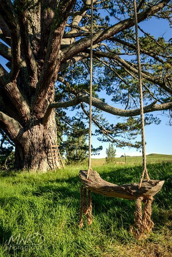 DIY Tree Swing Ideas For More Family Time (20)
