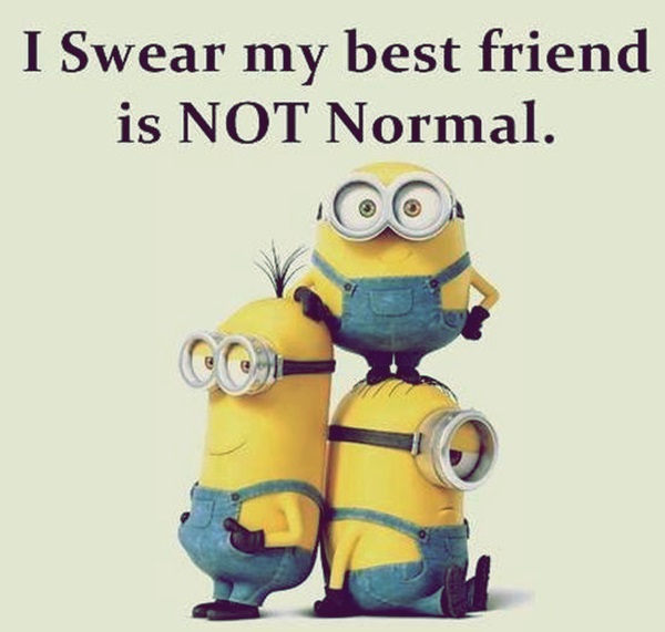 Dumbass Best Friends Quotes With Pictures (27)