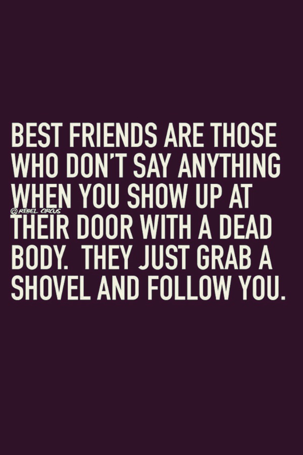 40 Dumbass Best Friends Quotes With Pictures 40 Dumbass Best Friends Quotes With Pictures