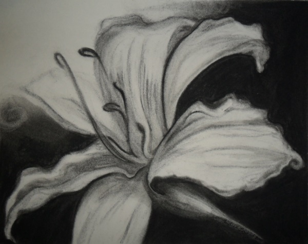 beautiful-illustrations-of-charcoal-painting0041