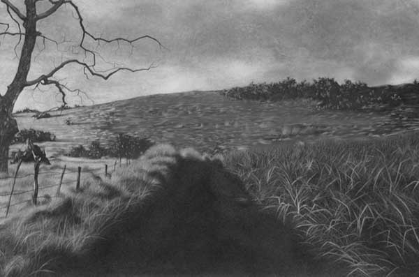 beautiful-illustrations-of-charcoal-painting0111