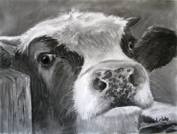 beautiful-illustrations-of-charcoal-painting0151