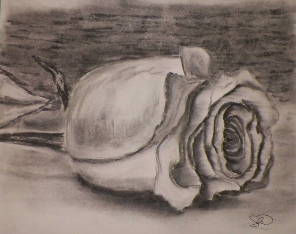 beautiful-illustrations-of-charcoal-painting0241