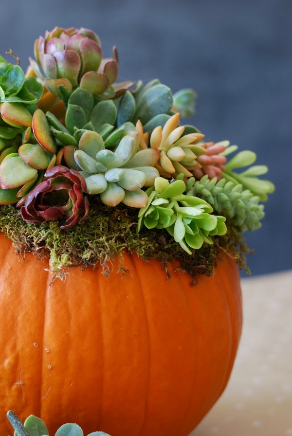 diy-thanksgiving-decoration-ideas-for-everyone0411