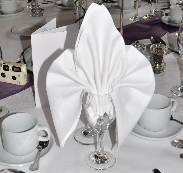 most-creative-table-napkin-folding-ideas-to-practice0021