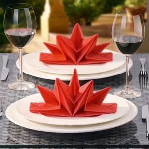 40 Most Creative Table Napkin Folding Ideas To Practice – Bored Art