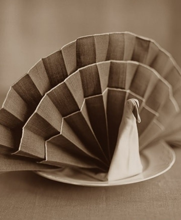 most-creative-table-napkin-folding-ideas-to-practice0361