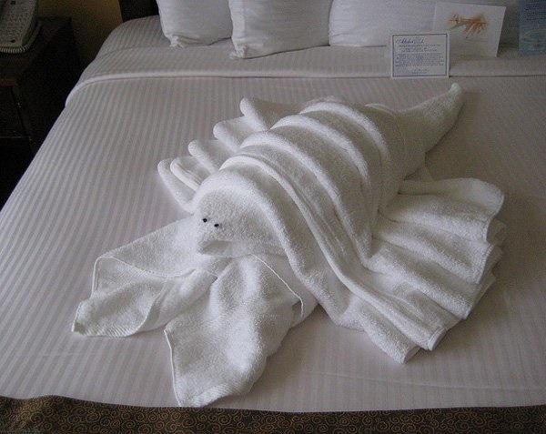 most-creative-towel-folding-ideas0111