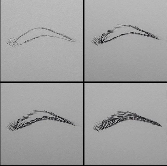 HOW TO DRAW Eyebrows  YouTube