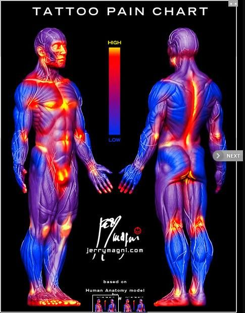 tattoo pain chart - Google Search | Tattoo pain chart, Tattoo pain, Least painful  tattoo