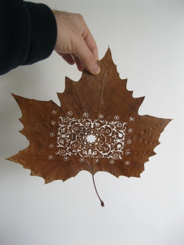 mildly-interesting-leaf-art-installations0001