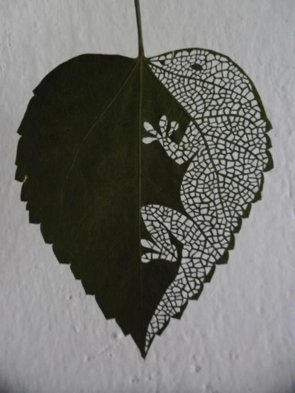 mildly-interesting-leaf-art-installations0271