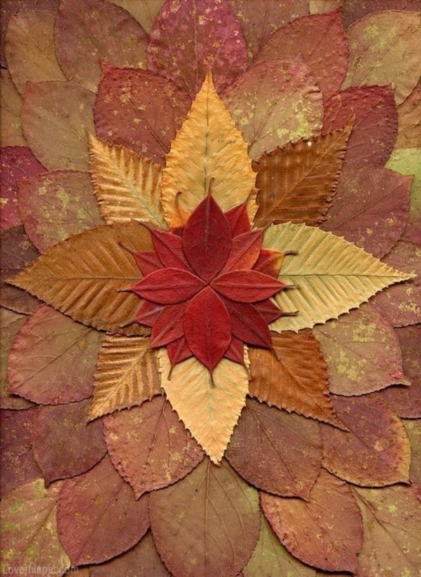 mildly-interesting-leaf-art-installations0311
