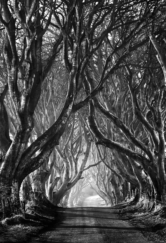 Bedazzling And Beautiful World Of Black And White Art - Bored Art