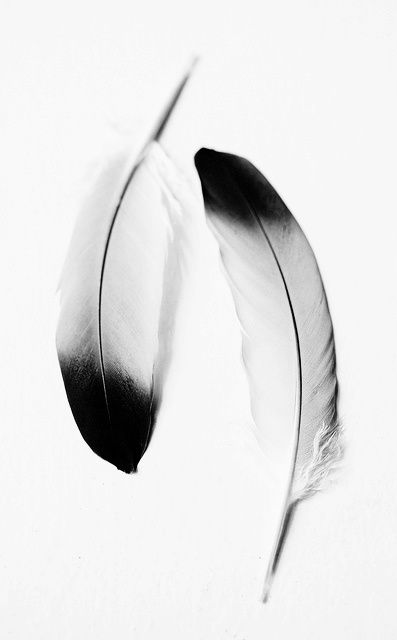 black-and-white-art-15