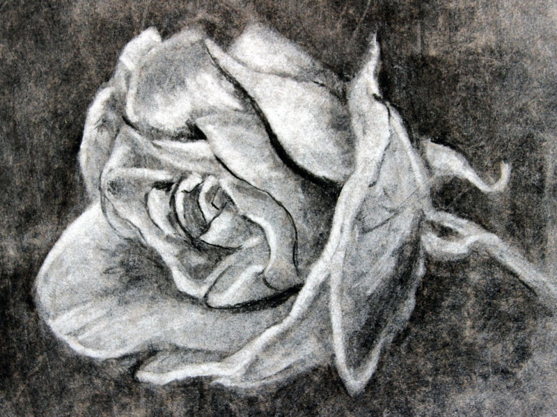 Amazing How To Draw With Charcoal in the world The ultimate guide ...