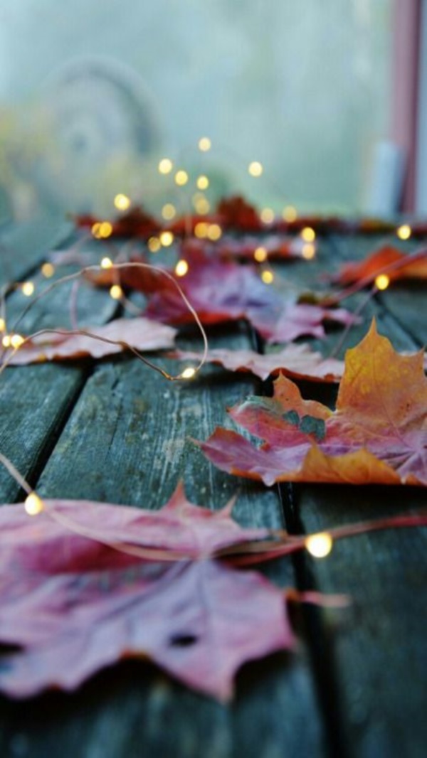 magical-fall-photography-ideas-to-try-this-year0071