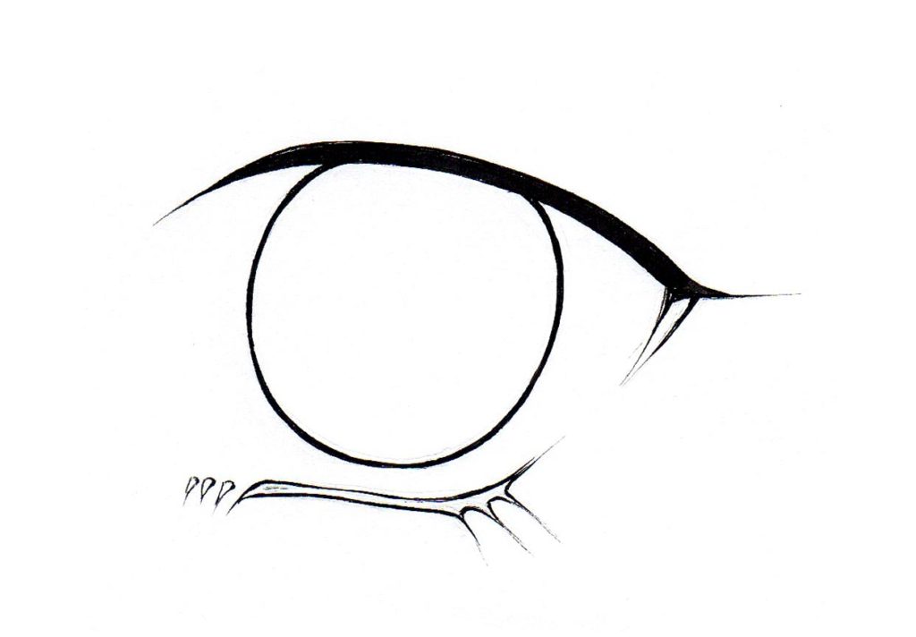 Learn The Intricacies Of How To Draw Anime Eyes Bored Art