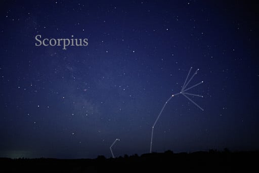 scorpius