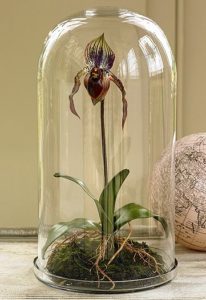 Brilliant, Bright And Beautiful Bell Jar Ideas - Bored Art