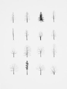 How To Draw A Tree (Step By Step Image Guides)