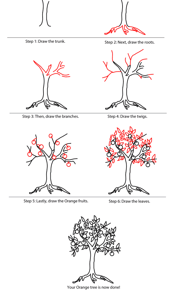 How To Draw A Tree Step By Step For Beginners