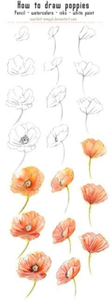 How To Draw A Flower (Step By Step Image Guides) - Bored Art