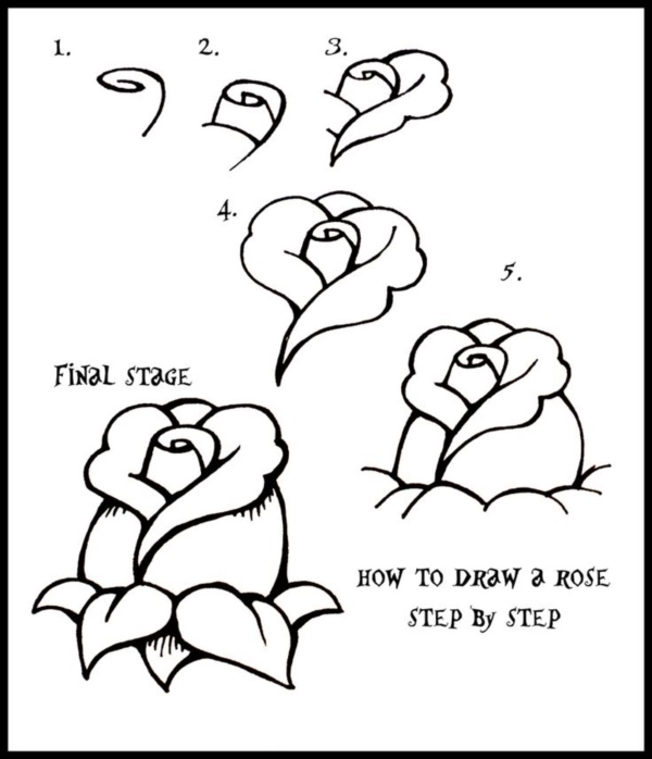 How To Draw A Flower (Step By Step Image Guides)