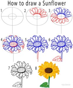 How to draw a flower step by step image guides 