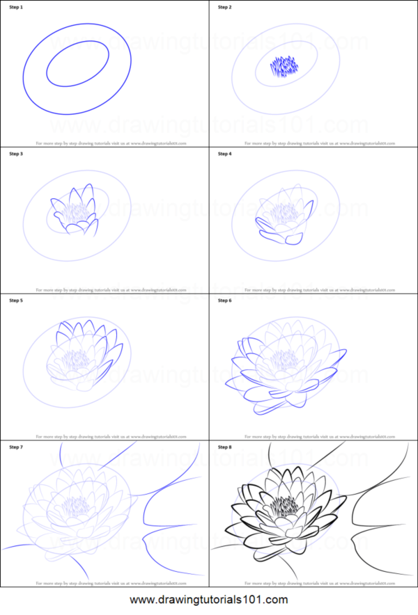 How To Draw A Flower (Step By Step Image Guides)