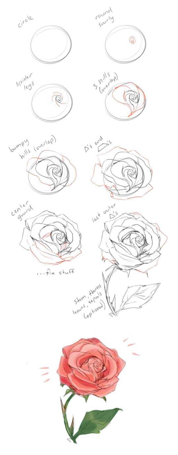 How To Draw A Flower (Step By Step Image Guides)