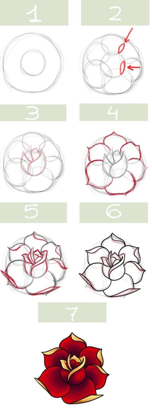 How To Draw A Flower (Step By Step Image Guides)