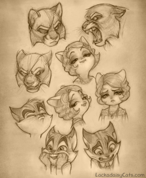 Cat Facial Expressions Chart