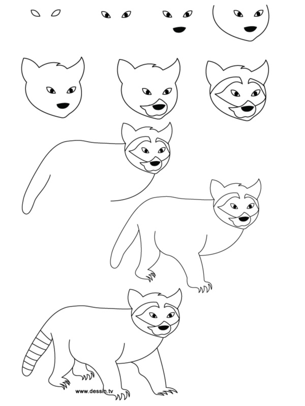 How To Draw Easy Animals Step By Step Image Guide