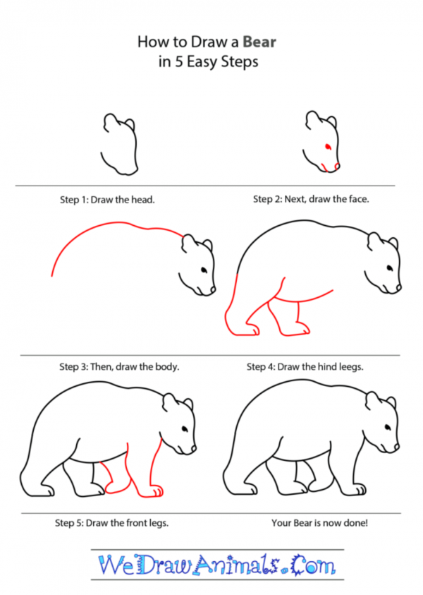 How To Draw Easy Animals Step By Step Image Guide