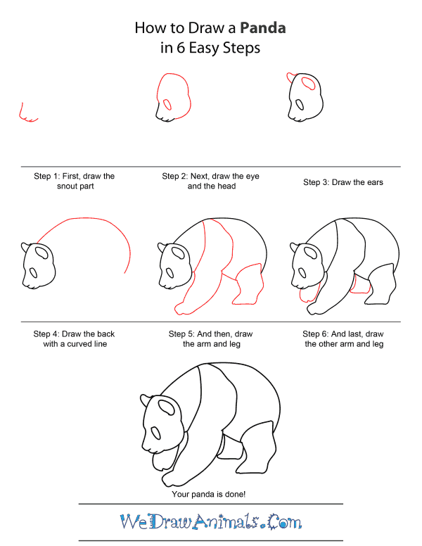 How To Draw Easy Animals Step By Step Image Guide