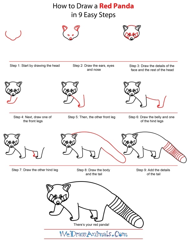 How To Draw Easy Animals (Step By Step Image Guides) - Bored Art