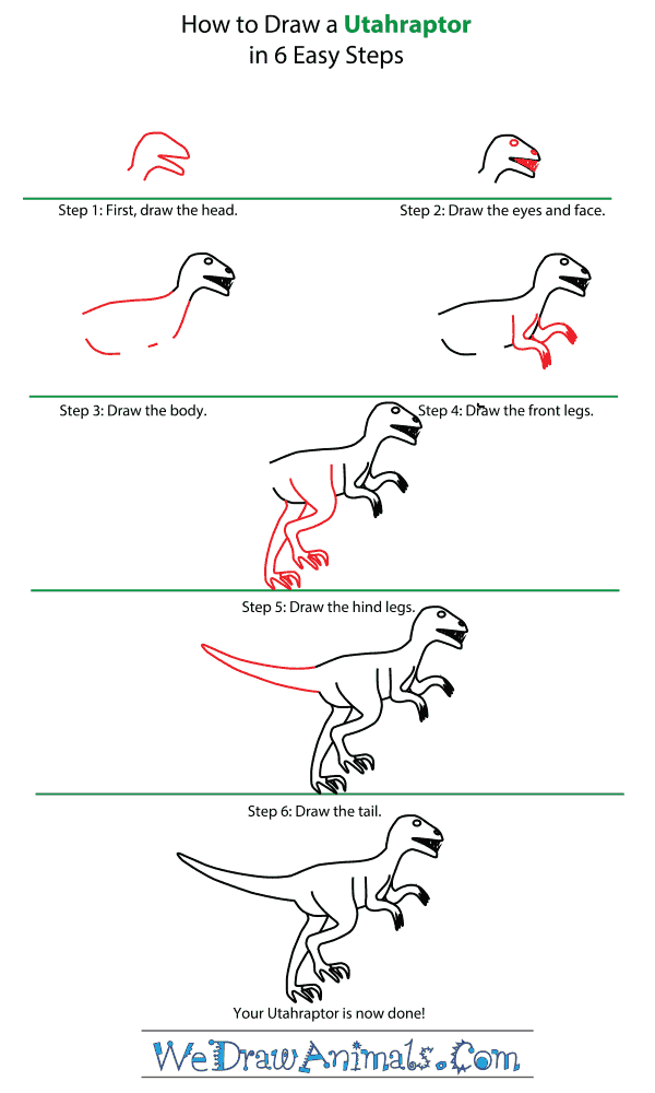 How To Draw Easy Animals Step By Step Image Guide