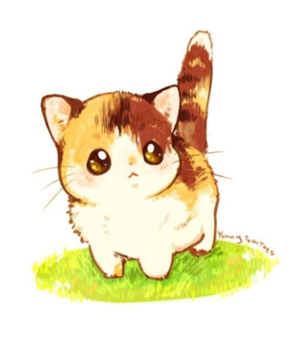 How to draw kawaii cat with easy step-by-step drawing tutorial-saigonsouth.com.vn