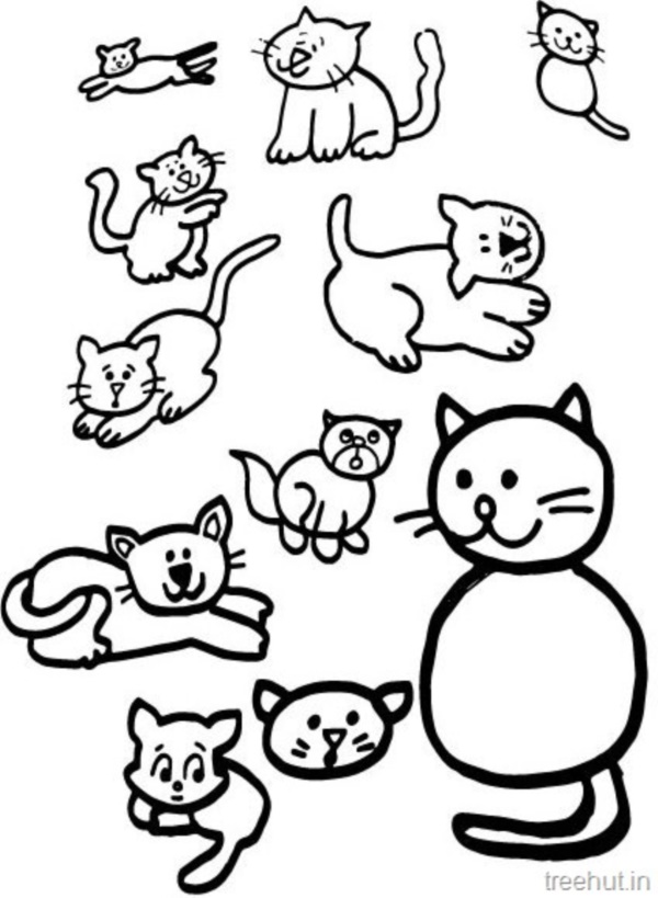 40 Simple Cat drawing Examples anyone Can Try