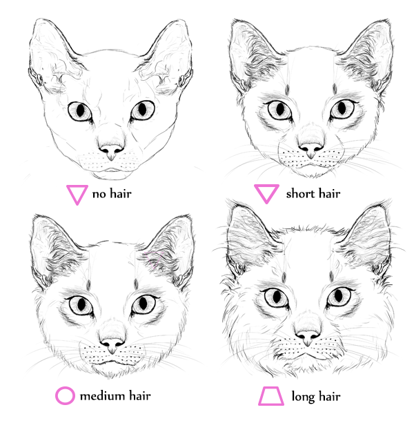 12+ Cat Drawing Easy Cute - Aleya Wallpaper
