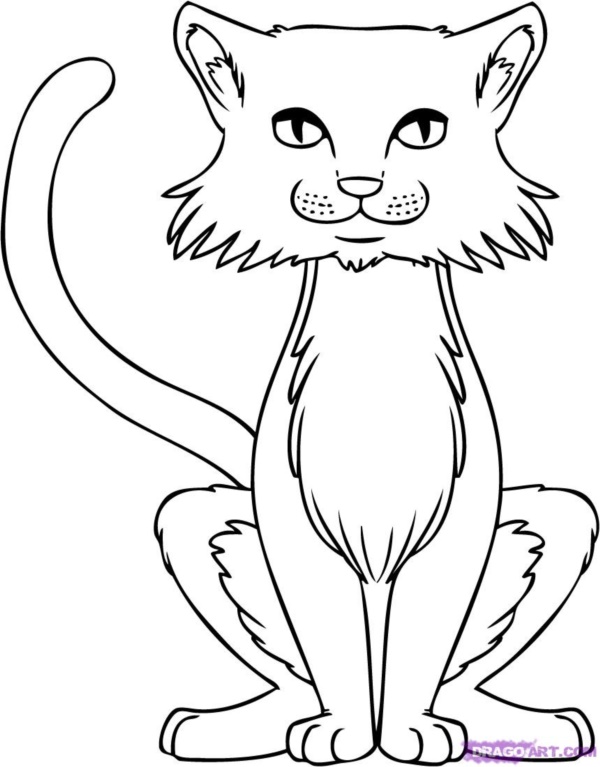 40 Simple Cat drawing Examples anyone Can Try