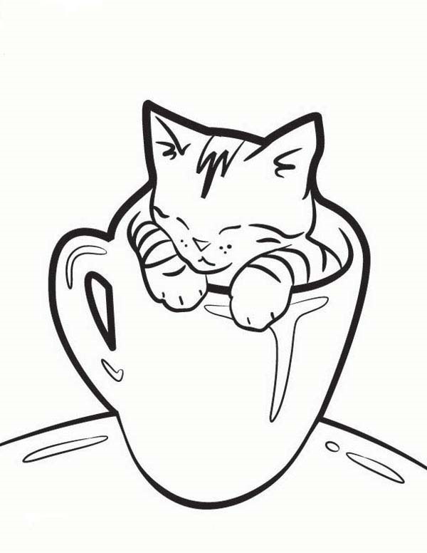 40 Simple Cat  drawing Examples anyone Can Try