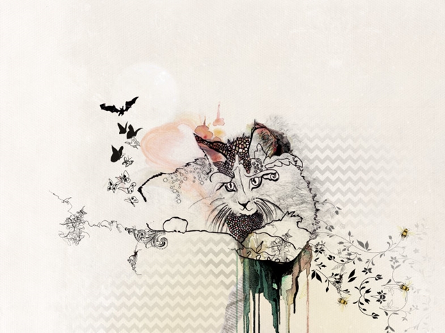 easy cat drawings easy cat drawings