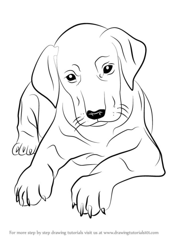 https://www.boredart.com/wp-content/uploads/2017/03/simple-dog-drawing-to-Follow-and-Practice0001.jpg