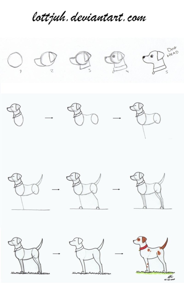 40 simple dog drawing to Follow and Practice