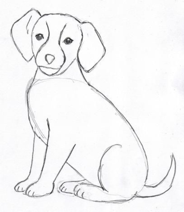 How to Draw a Easy dog: Step-by-Step Drawing | Drawing Dog-saigonsouth.com.vn