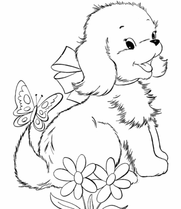 40 simple dog drawing to Follow and Practice