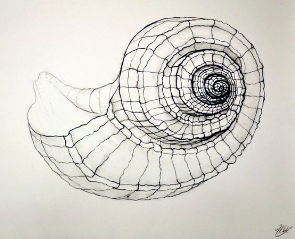 40 Best Examples Of Line Drawing Art 40 Best Examples Of Line Drawing Art